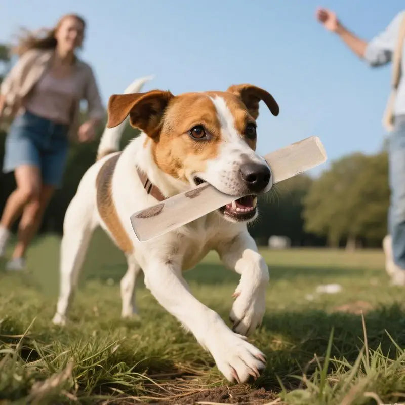 Coffee Wood Dog Chew 2X Coffee Wood Chew Stick Toy Natural Teether Reduces Boredom Teeth Cleaning Tool Promotes Teeth Health For